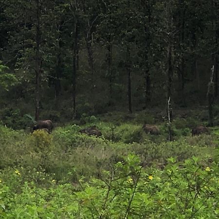 Lotus Jewel Forest Camping スルタン・バザリー エクステリア 写真