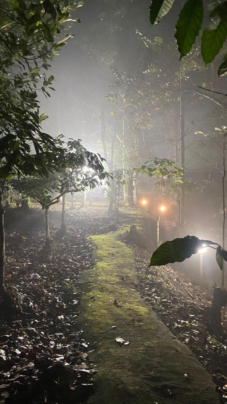 Lotus Jewel Forest Camping スルタン・バザリー エクステリア 写真