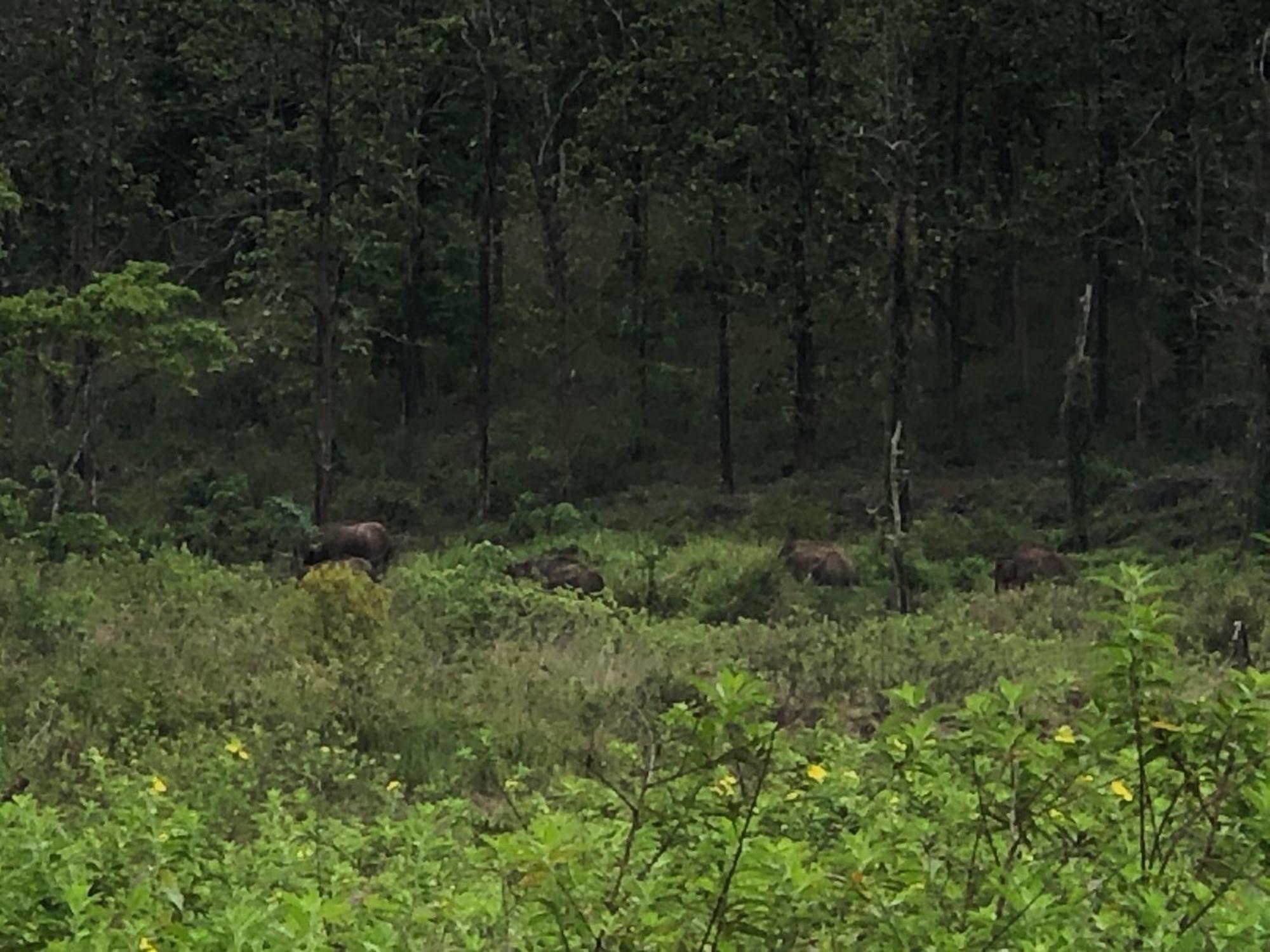 Lotus Jewel Forest Camping スルタン・バザリー エクステリア 写真